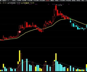 股多多大师版听说以前卖十几万
